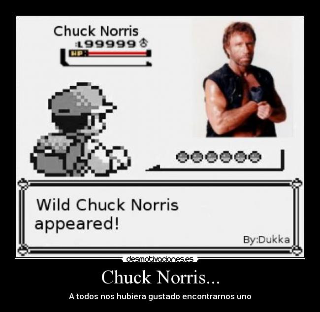 Chuck Norris... - A todos nos hubiera gustado encontrarnos uno