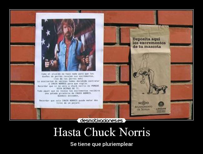 Hasta Chuck Norris - Se tiene que pluriemplear