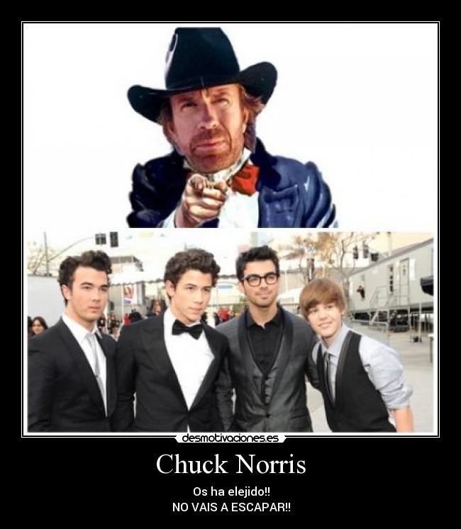 Chuck Norris - Os ha elejido!!
NO VAIS A ESCAPAR!!