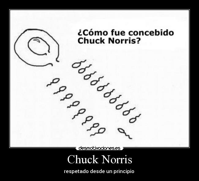Chuck Norris - 