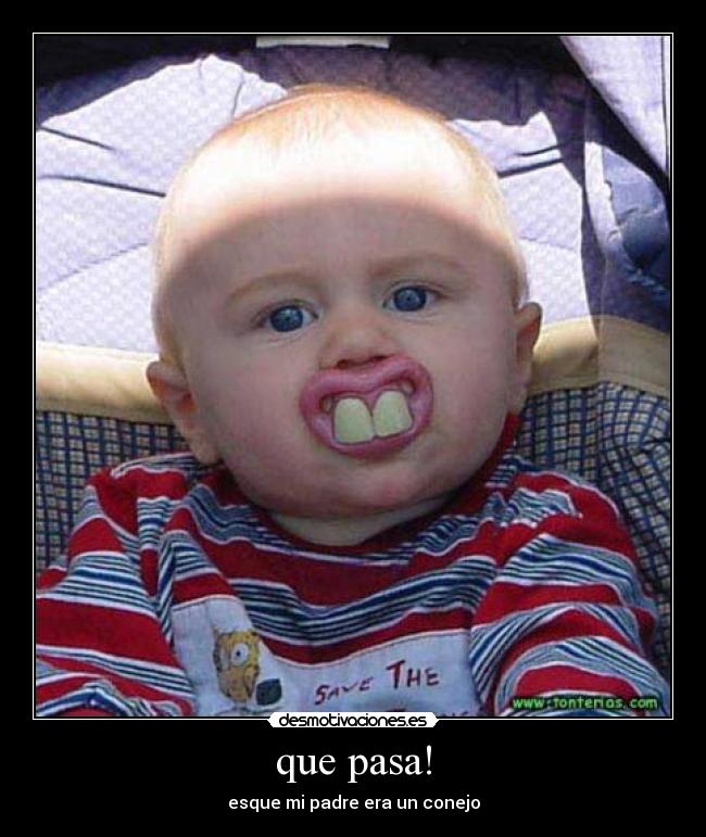 que pasa! - esque mi padre era un conejo