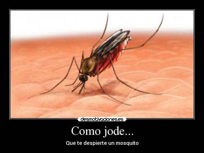 Como jode... - 