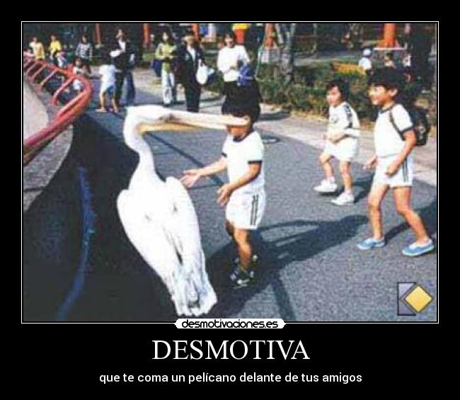 DESMOTIVA - que te coma un pelícano delante de tus amigos