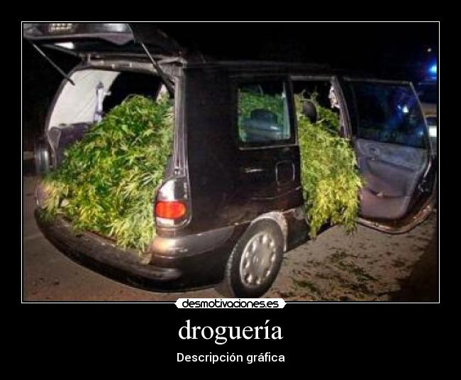 droguería - Descripción gráfica