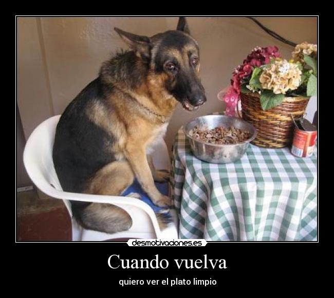 carteles perro lentejas desmotivaciones