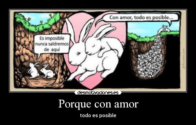 Porque con amor -