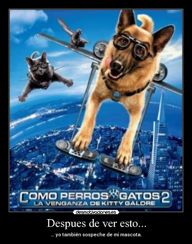 Despues de ver esto... - ... yo también sospeche de mi mascota.