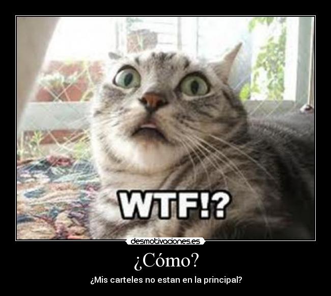 ¿Cómo? - ¿Mis carteles no estan en la principal?