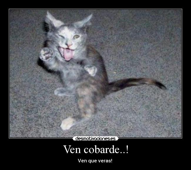 Ven cobarde..! -