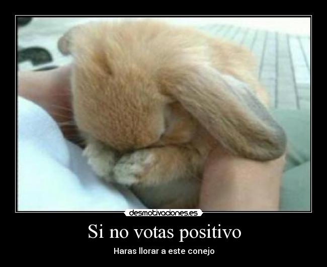 Si no votas positivo - Haras llorar a este conejo