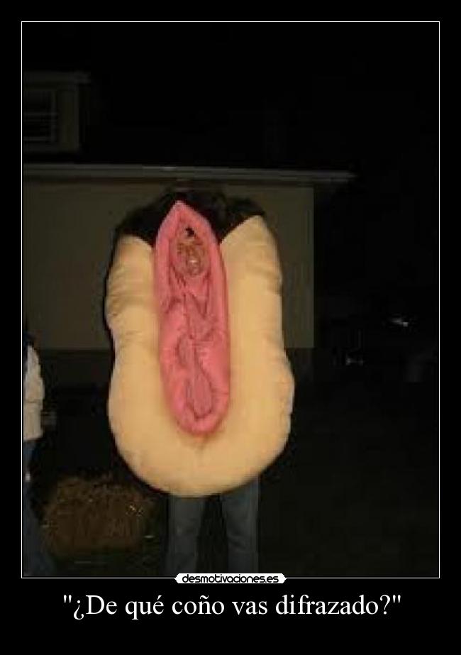 ¿De qué coño vas difrazado? -