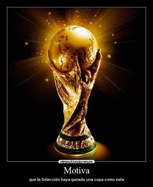 Motiva - que la Selección haya ganado una copa como esta