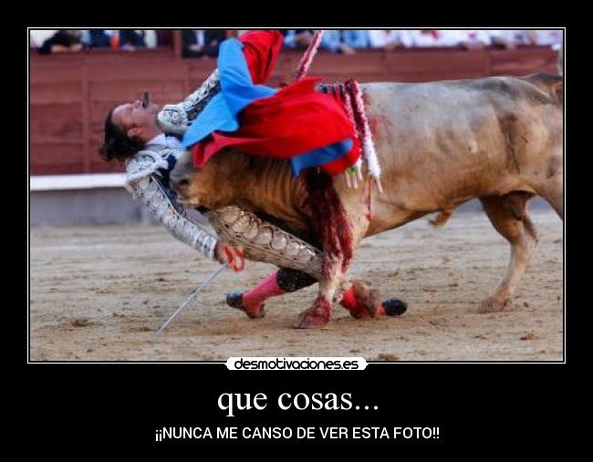 que cosas... - ¡¡NUNCA ME CANSO DE VER ESTA FOTO!!