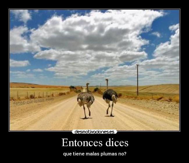 Entonces dices - 