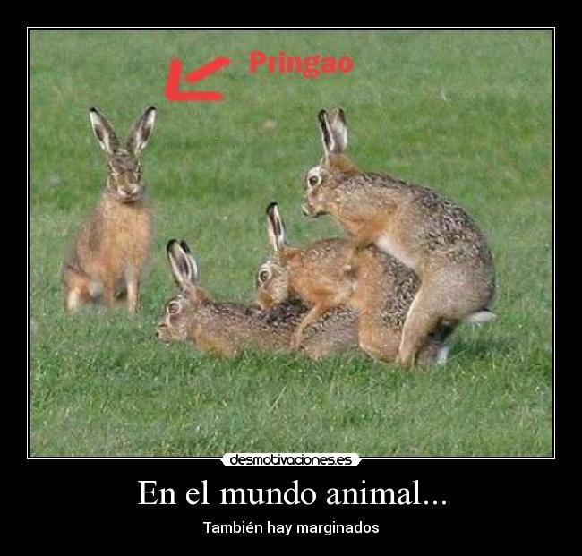 carteles mundo desmotivacion desmotivaciones