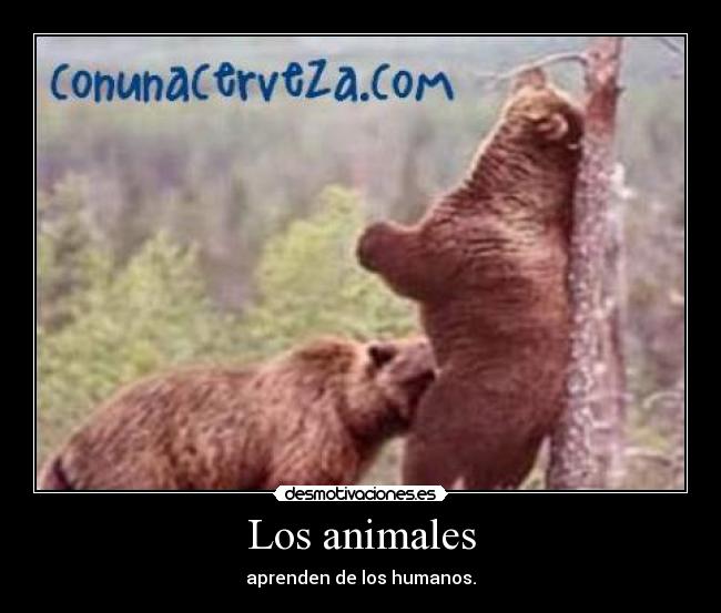 Los animales - aprenden de los humanos.
