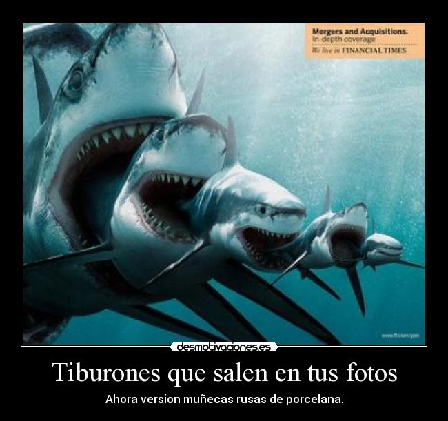 Tiburones que salen en tus fotos - Ahora version muñecas rusas de porcelana.