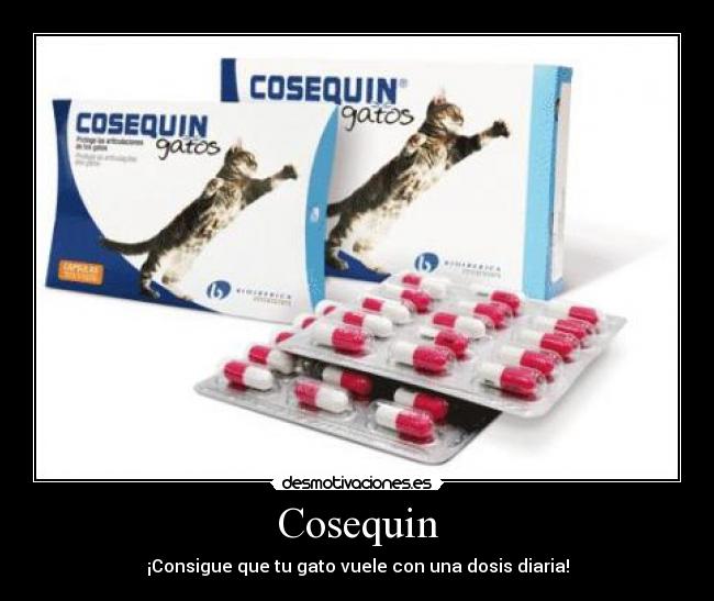 Cosequin - ¡Consigue que tu gato vuele con una dosis diaria!