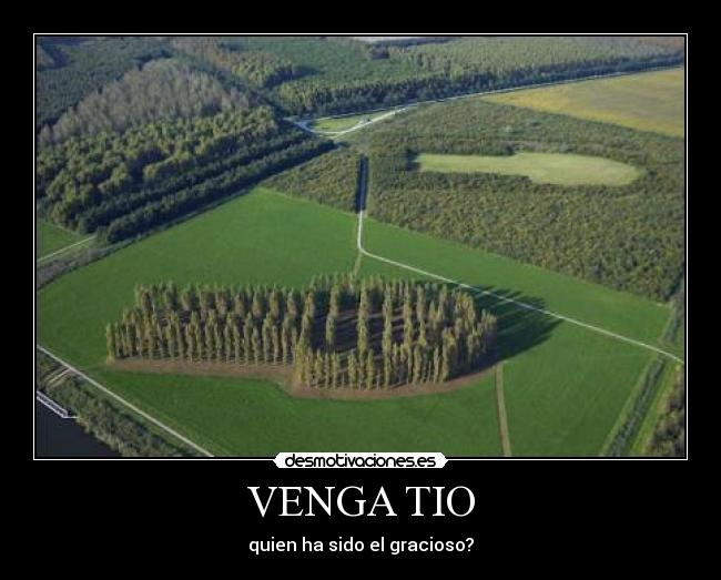 VENGA TIO - quien ha sido el gracioso?