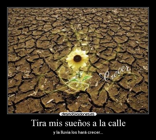 Tira mis sueños a la calle - y la lluvia los hará crecer...