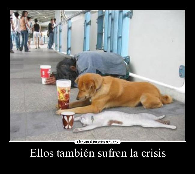 Ellos también sufren la crisis -