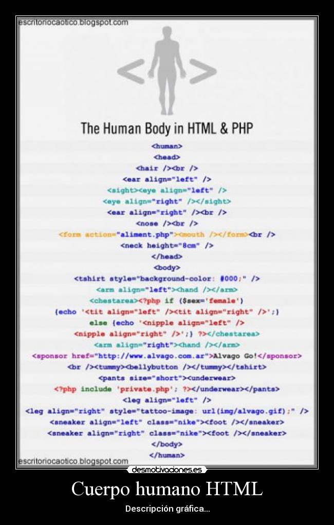 Cuerpo humano HTML - Descripción gráfica...