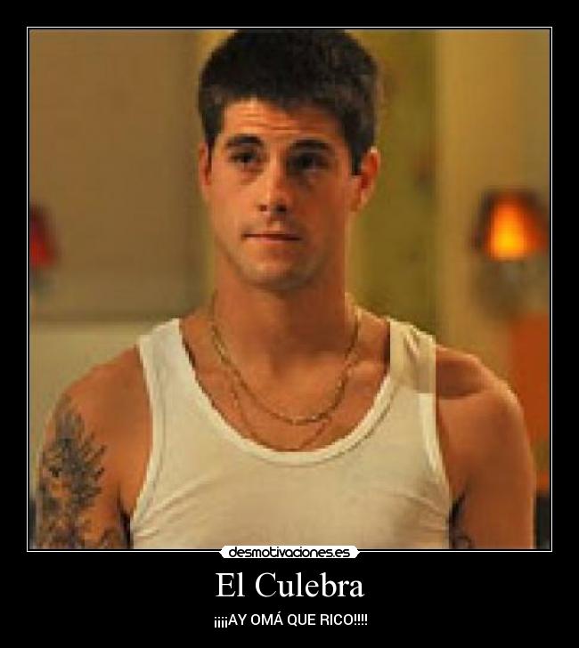 carteles culebra los protegidos desmotivaciones