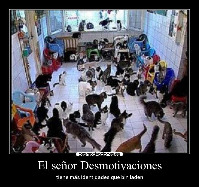 El señor Desmotivaciones - tiene más identidades que bin laden