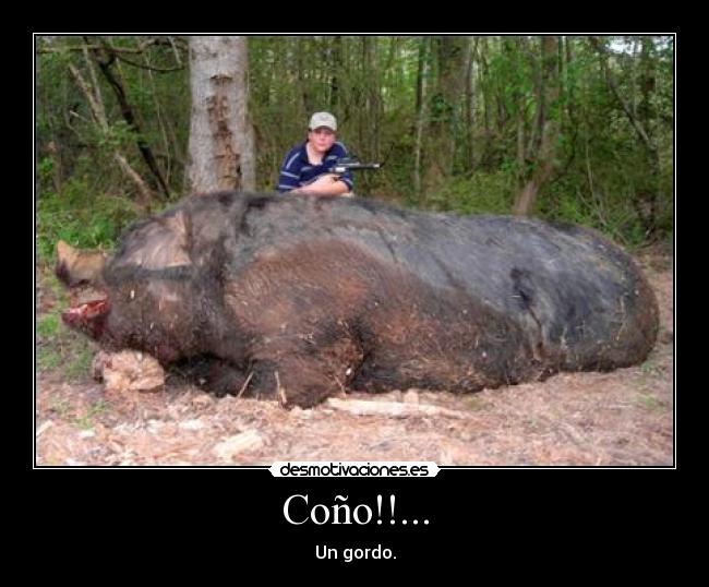 Coño!!... - 