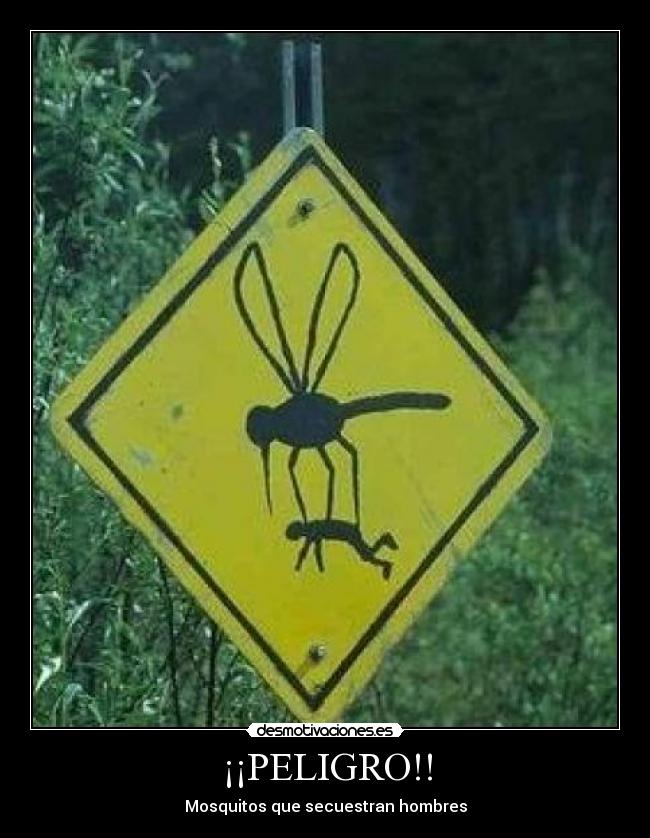 ¡¡PELIGRO!! - Mosquitos que secuestran hombres