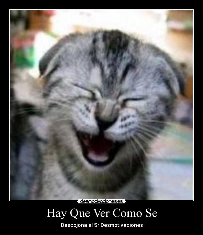 carteles  desmotivaciones