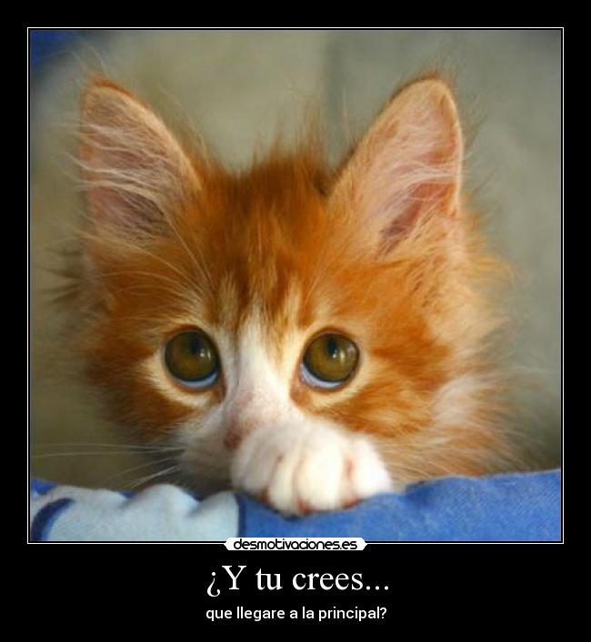 ¿Y tu crees... - que llegare a la principal?