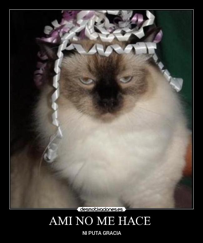 AMI NO ME HACE - NI PUTA GRACIA