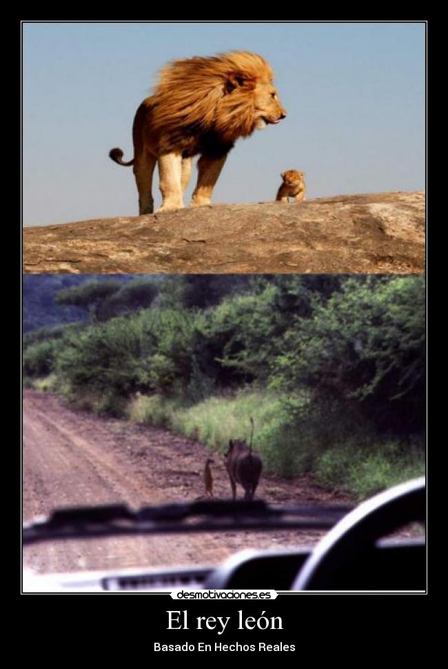 El rey león - Basado En Hechos Reales