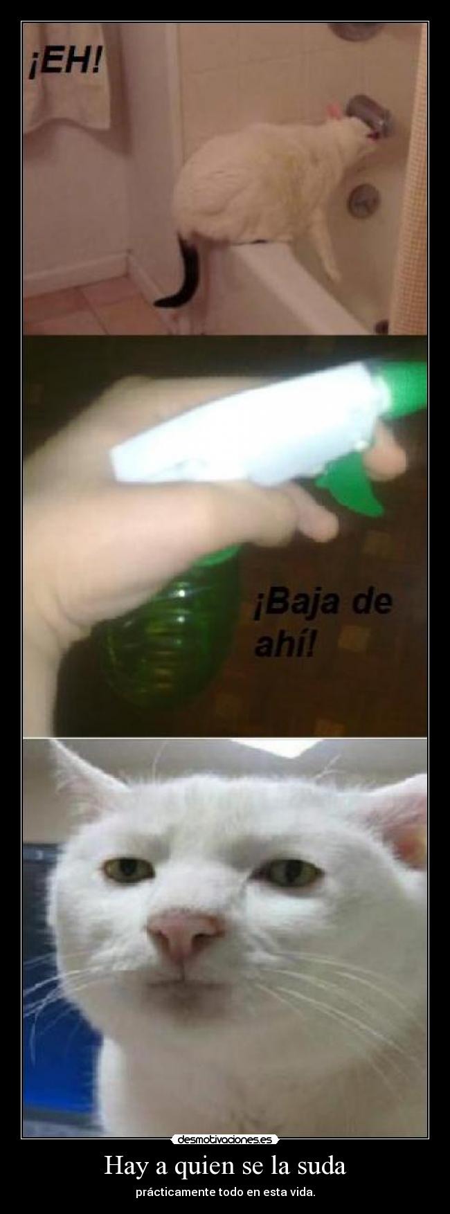 Hay a quien se la suda - prácticamente todo en esta vida.