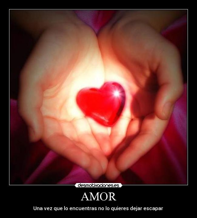 AMOR - Una vez que lo encuentras no lo quieres dejar escapar 