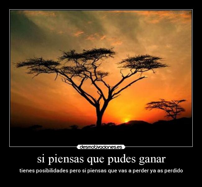 carteles confianza desmotivaciones