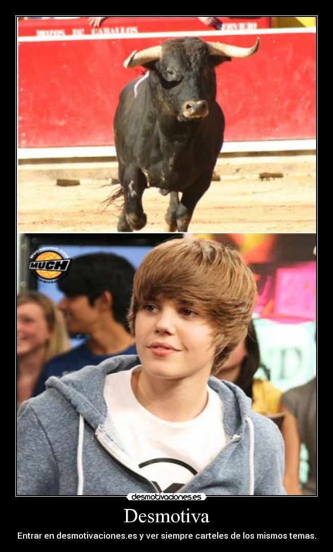 carteles toros justin bieber desmotivacion cartel desmotivaciones