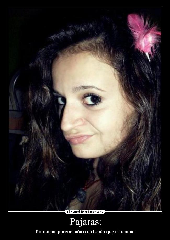 carteles pajaras tucan desmotivaciones