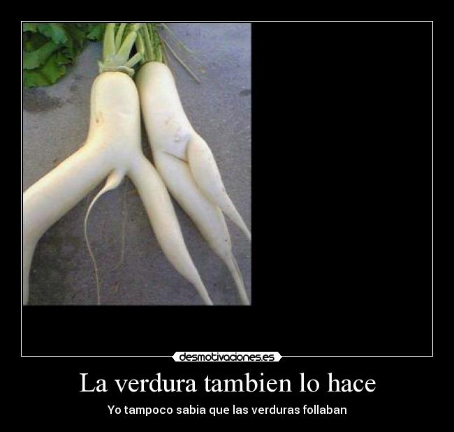 La verdura tambien lo hace - 