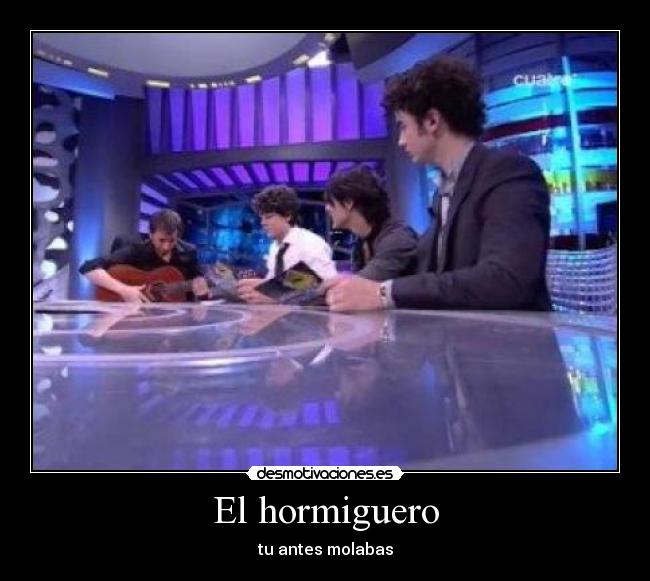 carteles hormiguero desmotivaciones