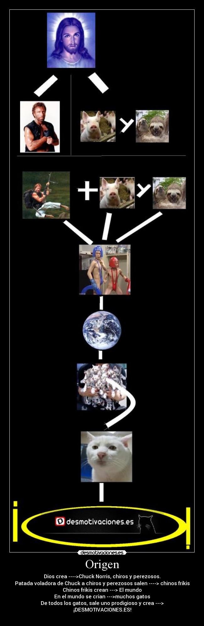 Origen - Dios crea ---->Chuck Norris, chiros y perezosos.
Patada voladora de Chuck a chiros y perezosos salen ----> chinos frikis
Chinos frikis crean ---> El mundo
En el mundo se crian --->muchos gatos
De todos los gatos, sale uno prodigioso y crea --->
¡DESMOTIVACIONES.ES!