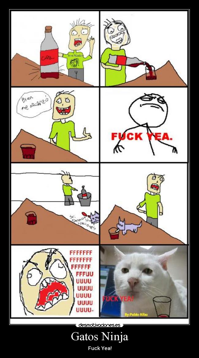 Gatos Ninja - 