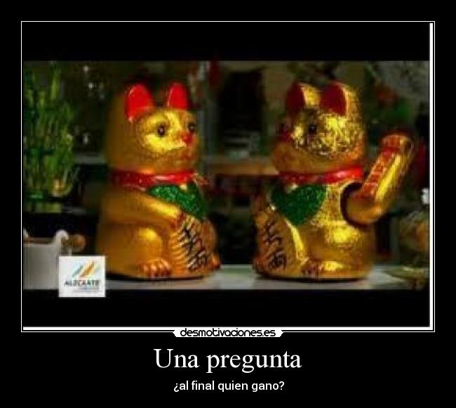 carteles gatos desmotivaciones