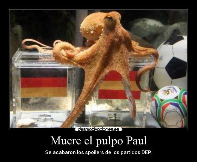 Muere el pulpo Paul - 
