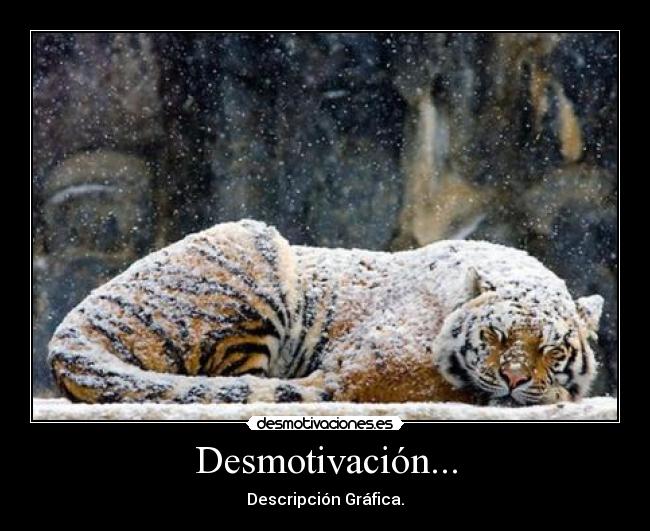 Desmotivación... -