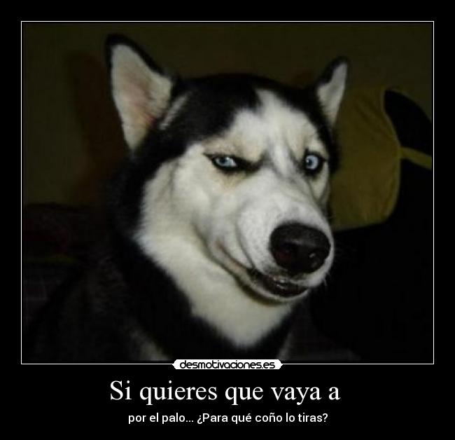 Si quieres que vaya a  - 