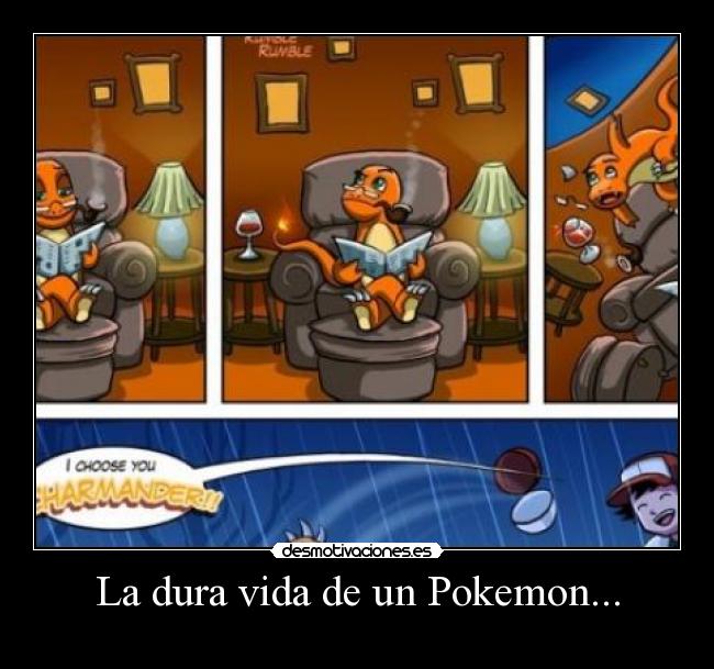 La dura vida de un Pokemon... -