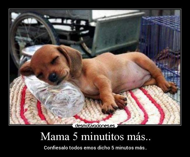 Mama 5 minutitos más.. -