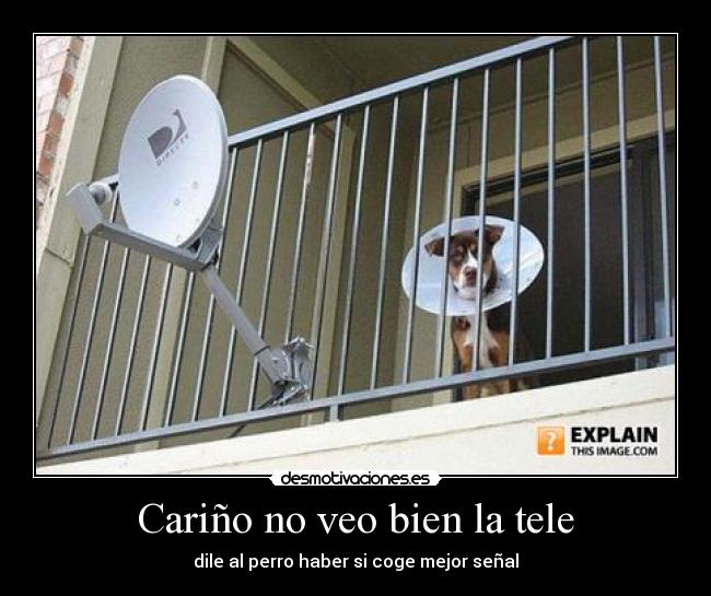 Cariño no veo bien la tele -
